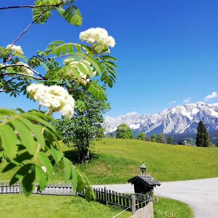 Stammerhof 3* Шладминг