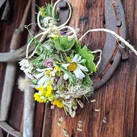 Stammerhof Frühstückspension Schladming