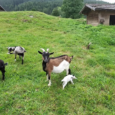 Alojamento de Acomodação e Pequeno-almoço Stammerhof Schladming