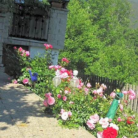 Stammerhof 3* Schladming