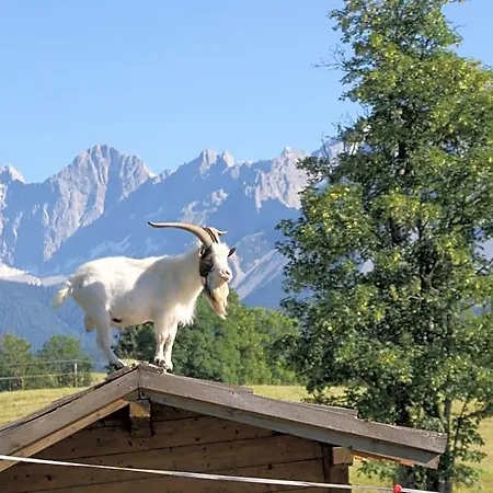 Bed & Breakfast Stammerhof