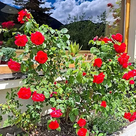 Bed and Breakfast Stammerhof Schladming