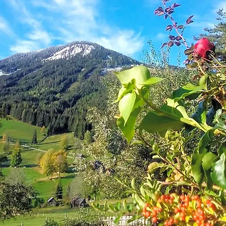 Bed and Breakfast Stammerhof Schladming