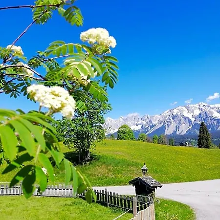 Bed and Breakfast Stammerhof 3*