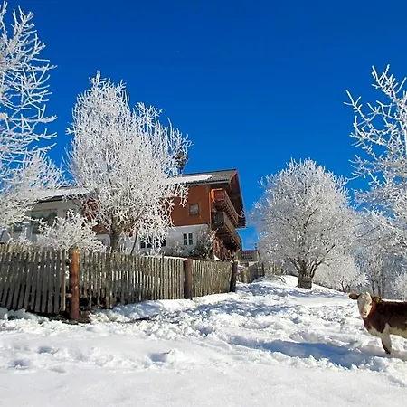 Stammerhof 3* Schladming