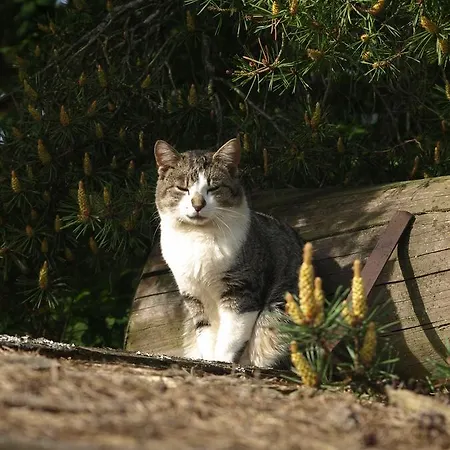 Stammerhof Bed & Breakfast