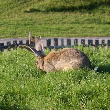 Stammerhof Frühstückspension