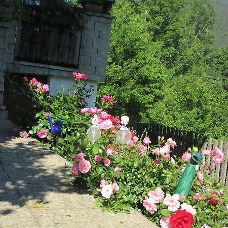 Stammerhof Bed and Breakfast 3*