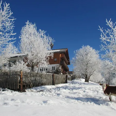 Stammerhof Bed & Breakfast 3*