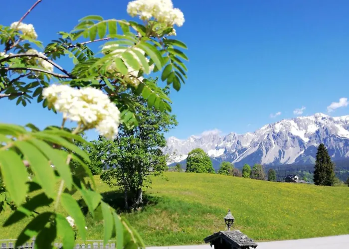 Stammerhof 3* Шладминг