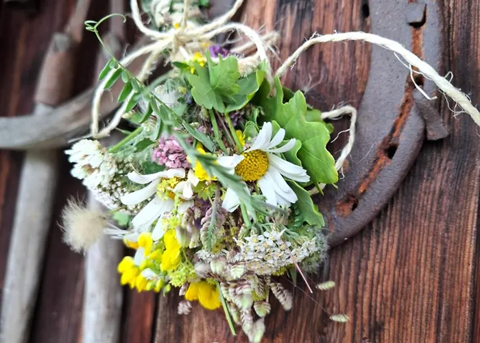 Stammerhof Bed & Breakfast Schladming