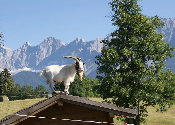 Stammerhof Schladming