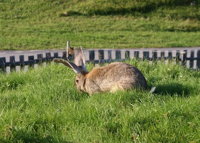 Stammerhof Отель типа 