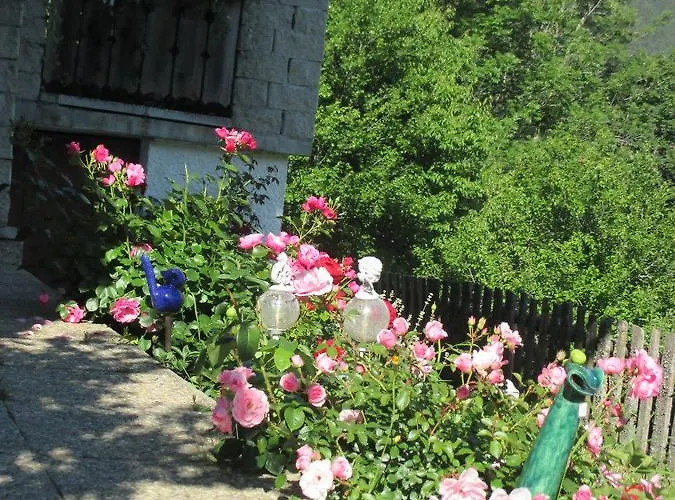 Stammerhof Отель типа 