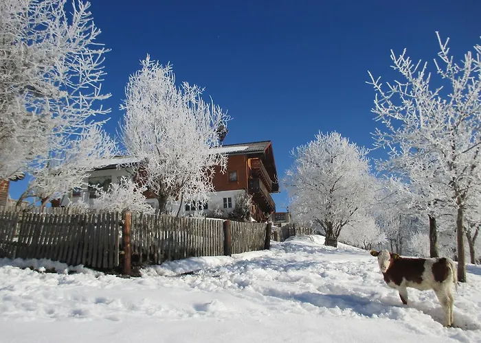 Stammerhof Alojamento de Acomodação e Pequeno-almoço 3*